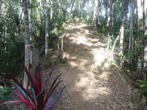 AnzacFastTrek1147-624