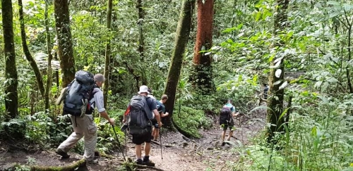 AustralianGuidedTrek1175-265