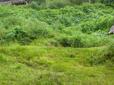 Kokoda-Adventure-Trek-1176243