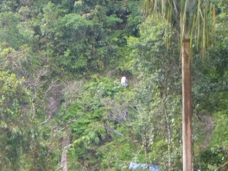 Kokoda-Adventure-Trek-1176246