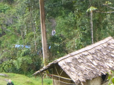 Kokoda-Adventure-Trek-1176247