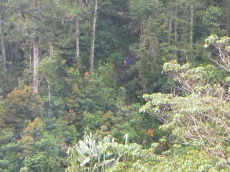 Kokoda-Adventure-Trek-1176249