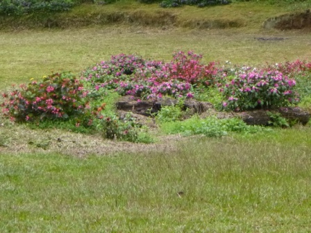 Kokoda-Adventure-Trek-1176250