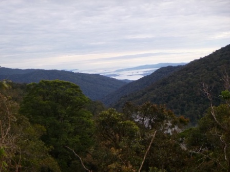 Kokoda-Adventure-Trek-1176255