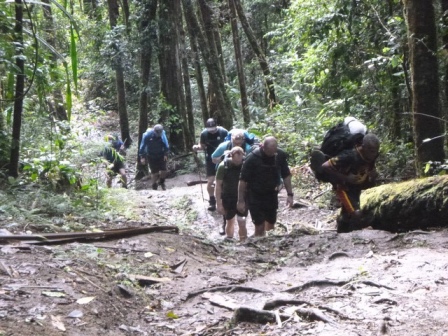 Kokoda-Adventure-Trek-1176271