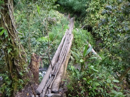 Kokoda-Adventure-Trek-1176278