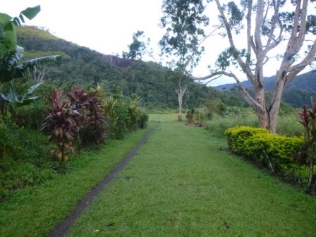 Kokoda-Adventure-Trek-1176292