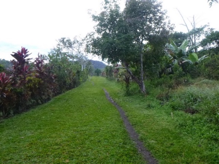 Kokoda-Adventure-Trek-1176293