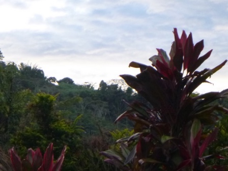 Kokoda-Adventure-Trek-1176294