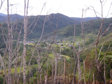 Kokoda-Adventure-Trek-1176302