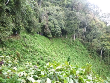 Kokoda-Adventure-Trek-1176309