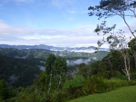 Kokoda-Adventure-Trek-1176331
