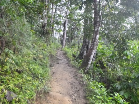 Kokoda-Adventure-Trek-1176392