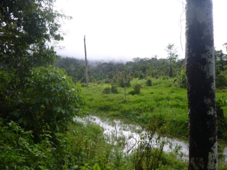 Kokoda-Adventure-Trek-1176393