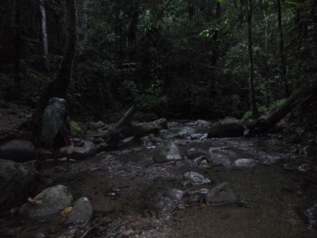 Kokoda-Adventure-Trek-1176423