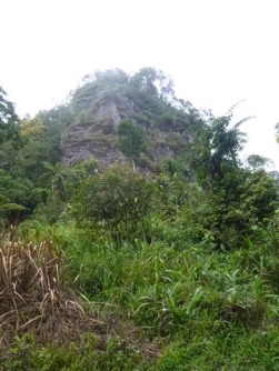 Kokoda-Adventure-Trek-1176436