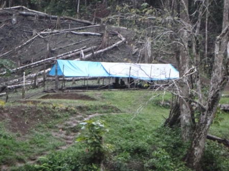 Kokoda-Adventure-Trek-1176457