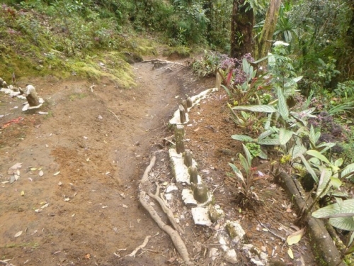 Kokoda-Trekking-Trek-1170-164