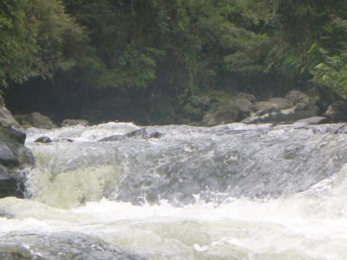 Kokoda-Trekking-Trek-1170-175