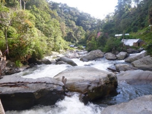 Kokoda7DayTrek1129-105
