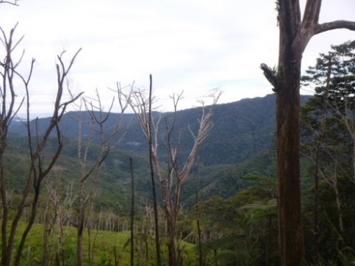 Kokoda7DayTrek1129-119