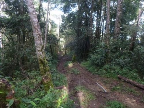 Kokoda7DayTrek1129-136