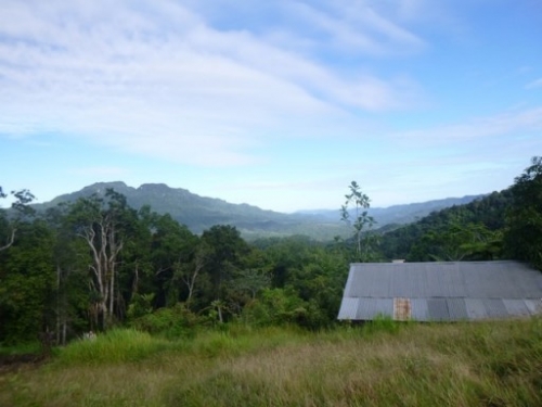 Kokoda7DayTrek1129-140