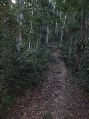 Kokoda7DayTrek1129-143