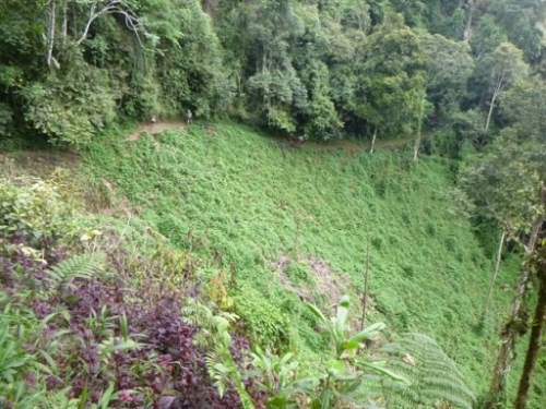 Kokoda7DayTrek1129-154