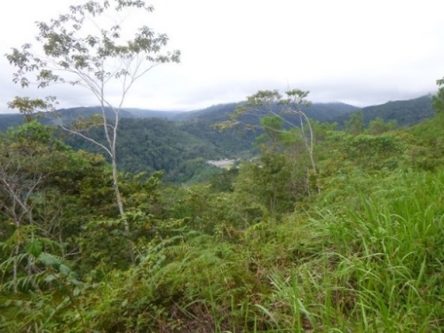 Kokoda7DayTrek1129-175