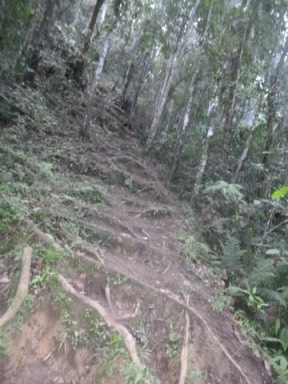 Kokoda7DayTrek1129-183