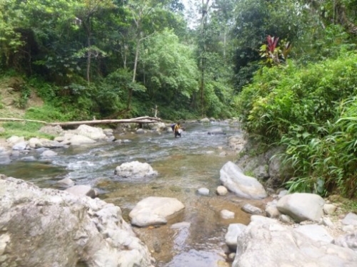 Kokoda7DayTrek1129-186