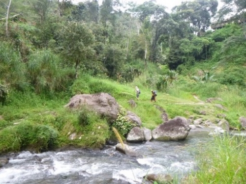Kokoda7DayTrek1129-188