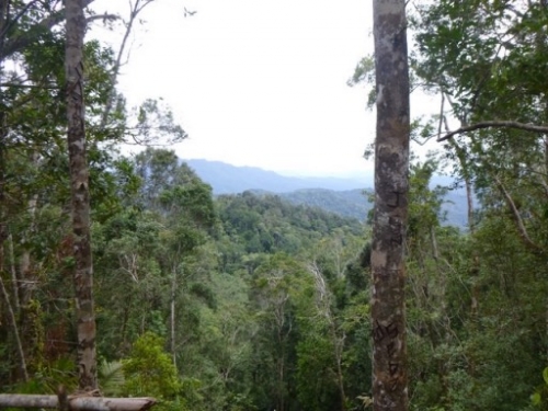 Kokoda7DayTrek1129-204