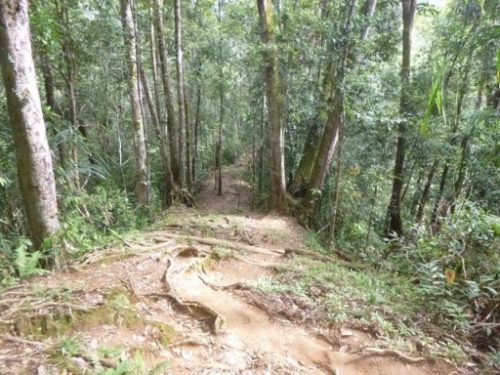 Kokoda7DayTrek1129-205