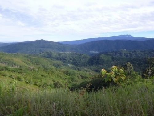 Kokoda7DayTrek1129-253