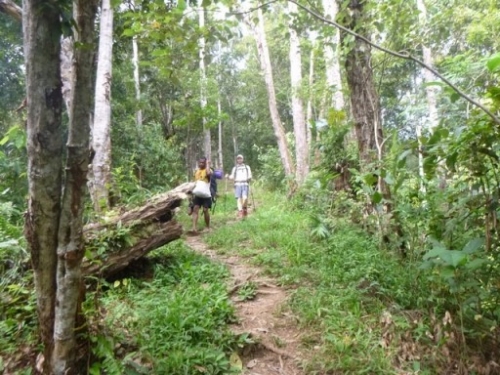 Kokoda7DayTrek1129-259