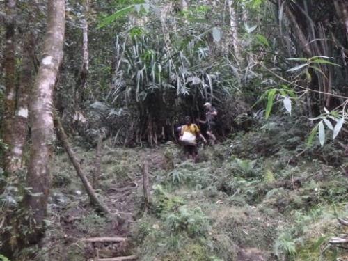 Kokoda7DayTrek1129-293