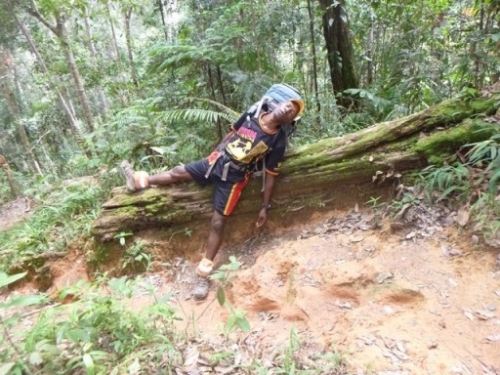 Kokoda7DayTrek1129-301