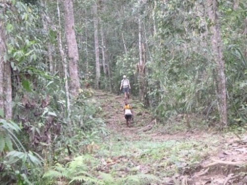 Kokoda7DayTrek1129-303