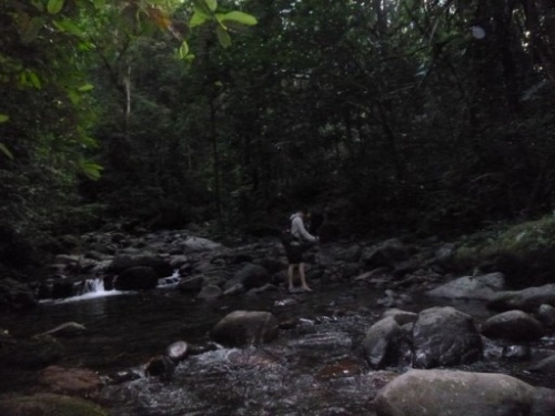 Kokoda7DayTrek1129-314