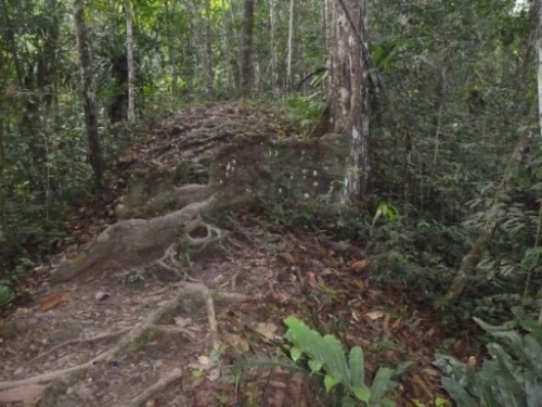 Kokoda7DayTrek1129-319