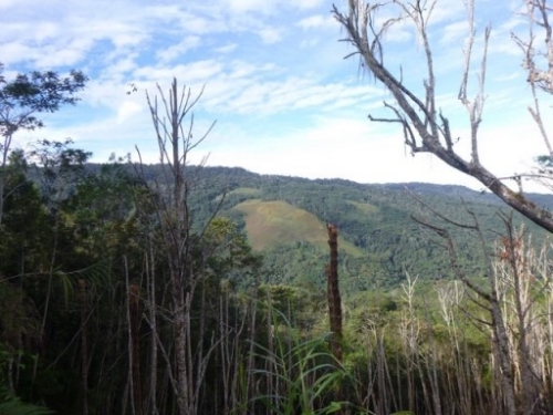 Kokoda7DayTrek1129-320