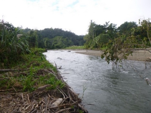 Kokoda7DayTrek1129-324