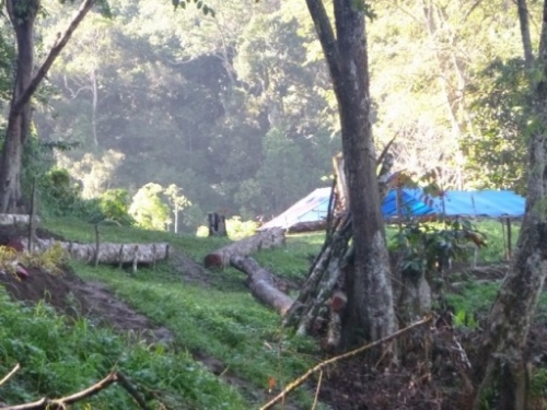 Kokoda7DayTrek1129-331