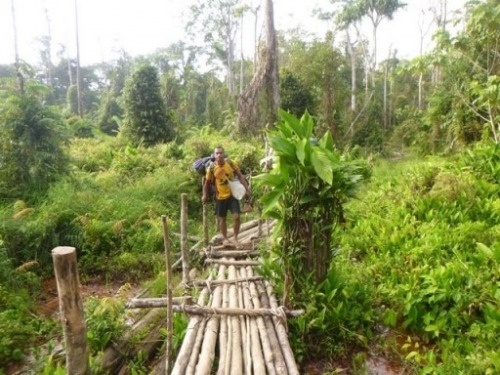 Kokoda7DayTrek1129-342