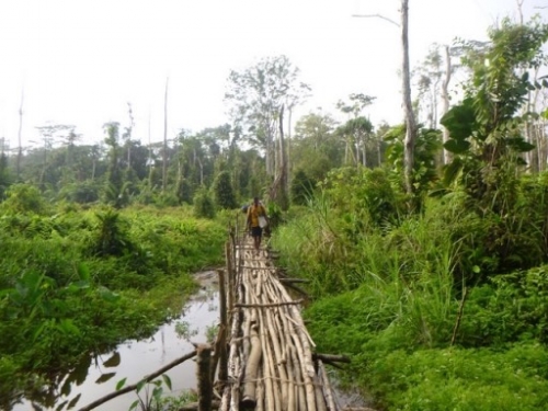 Kokoda7DayTrek1129-345