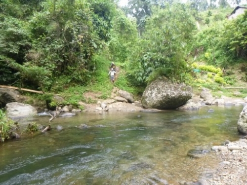 Kokoda7DayTrek1129-353