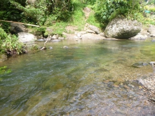 Kokoda7DayTrek1129-378