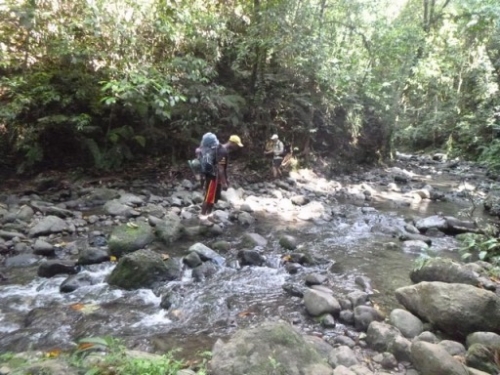 Kokoda7DayTrek1129-389
